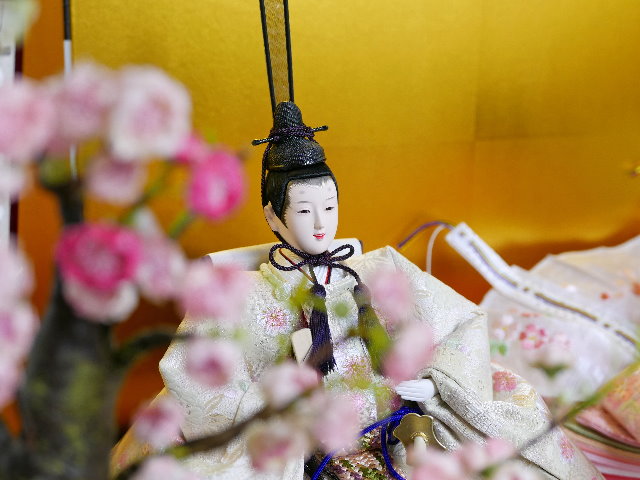 満開の桜を表現した衣装の雛人形金屏風黒収納飾り