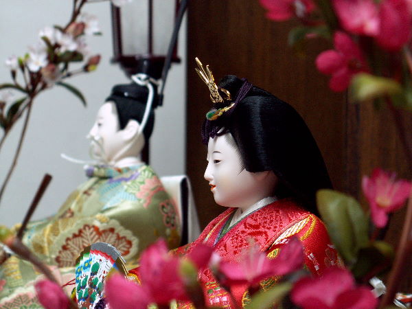 小出松寿本人が一押しする洗練された雛人形親王飾り