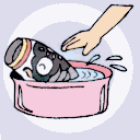 鯉のぼりの保管-手洗い
