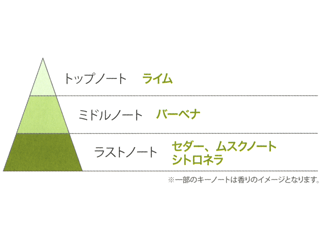ソフトバーベナのトップノート、ミドルノート、ラストノートの香りのピラミッドを図解で説明
